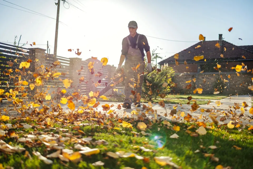 Seasonal yard cleanup